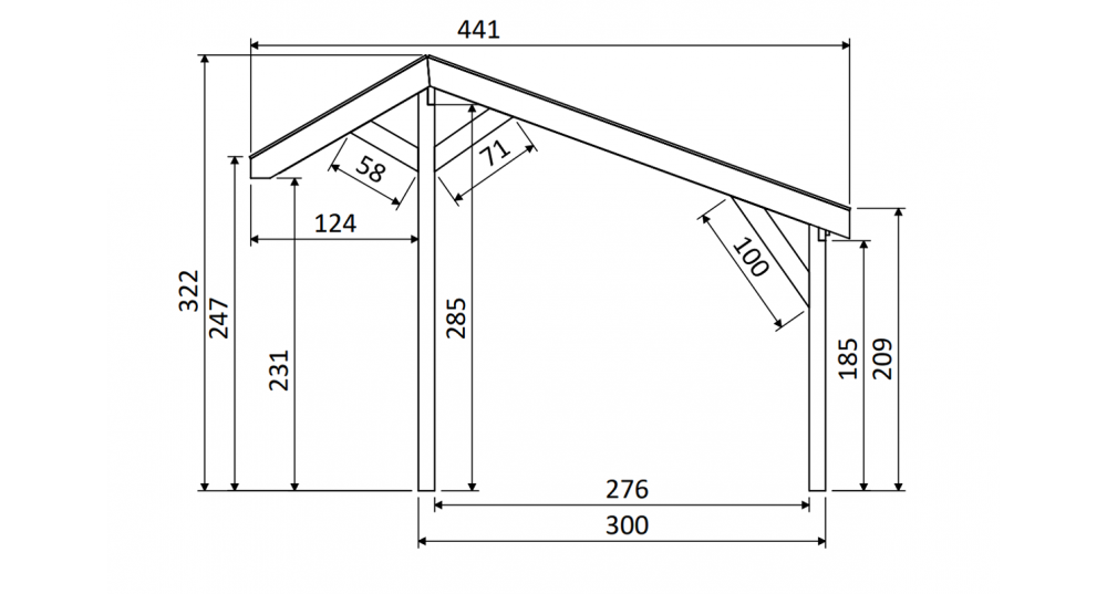 DHZ Buitenverblijf Easyline Kapschuurdak - 600 x 300 cm